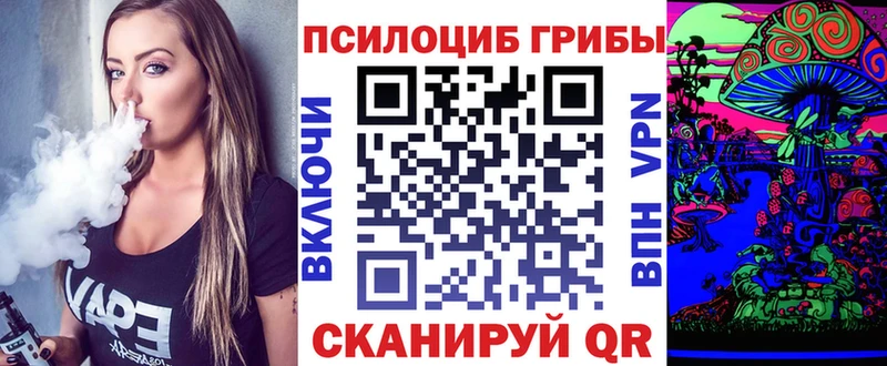 Галлюциногенные грибы Psilocybe площадка Telegram Кызыл