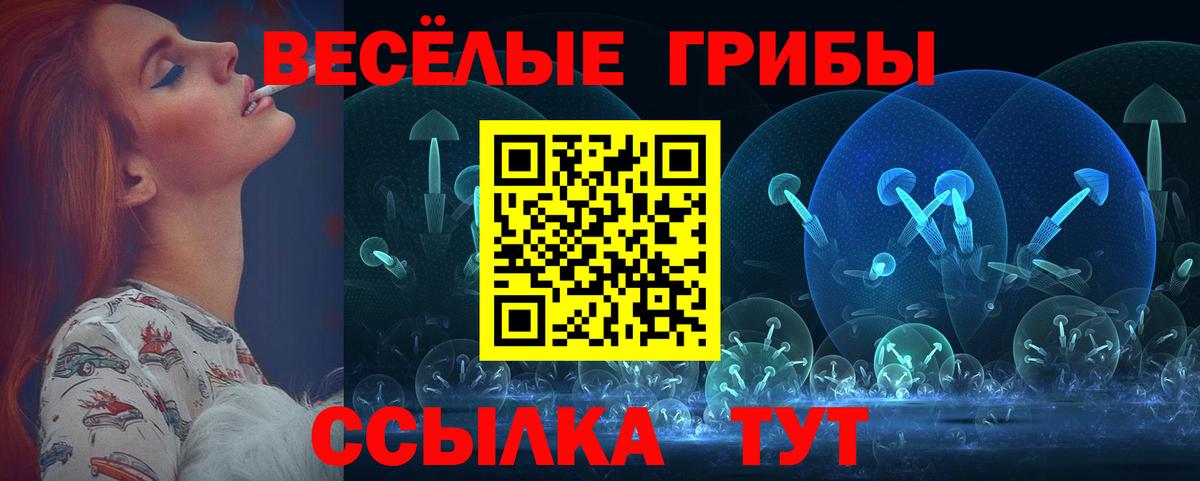 Кызыл  Псилоцибиновые грибы прущие грибы  Вход с VPN  где купить наркоту  Псилоцибиновые грибы Cubensis 